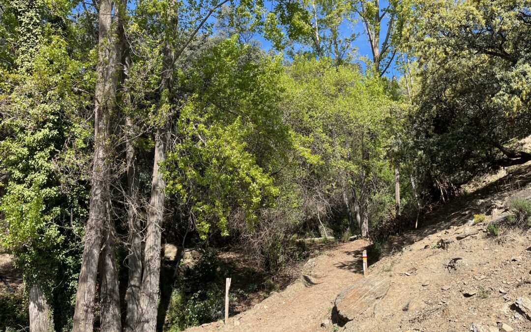 Rutas de senderismo para hacer en Nevada