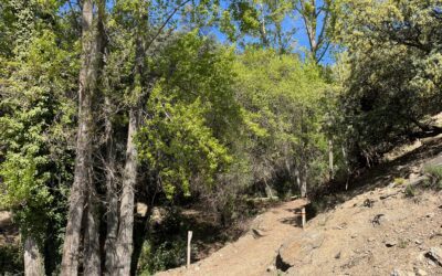 Rutas de senderismo para hacer en Nevada