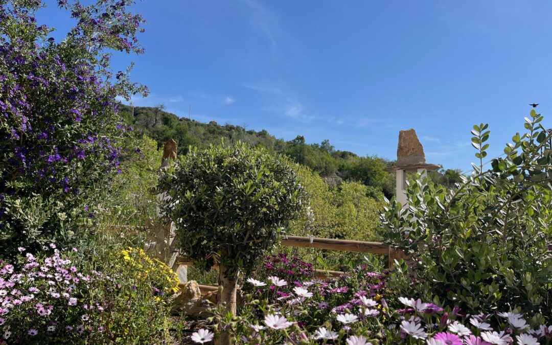 Tesoros naturales de Nevada: flora, fauna y espacios protegidos