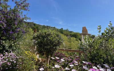 Tesoros naturales de Nevada: flora, fauna y espacios protegidos